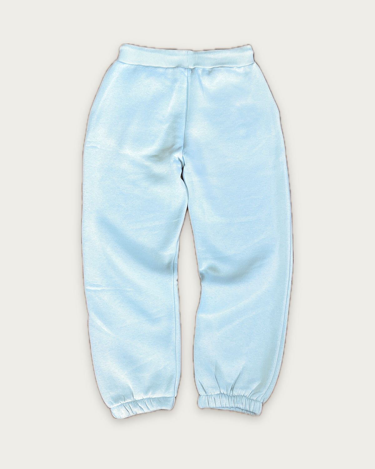 Closed Leg Sweatpants in Blau, Rückseite