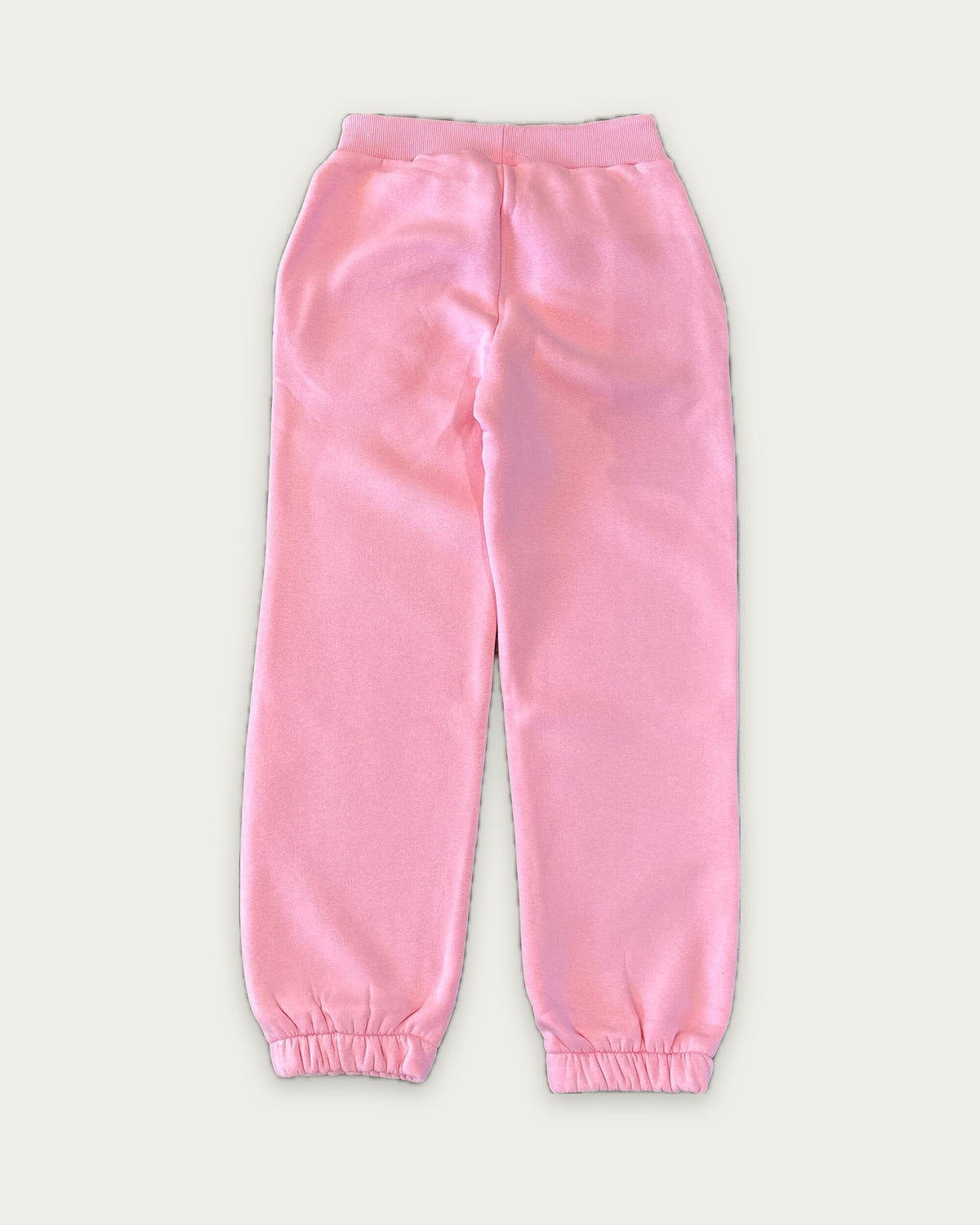 Closed Leg Sweatpants in Pink, Rückseite